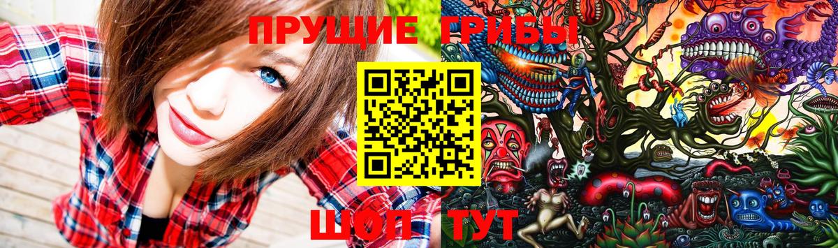 Галлюциногенные грибы MAGIC MUSHROOMS  Псилоцибиновые грибы GOLDEN TEACHER  Вход с VPN  Бийск 
